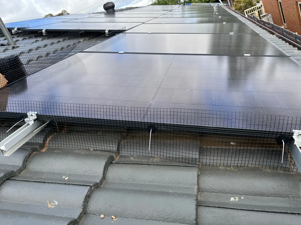 Solar Panel Bird Proofing